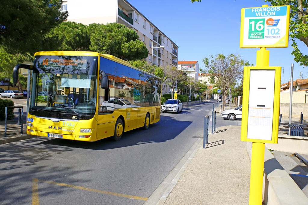 OPTIQUE GRAND SUD – Frontignan-La Peyrade