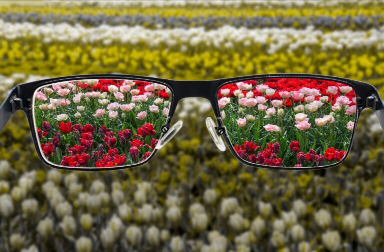 Homme essayant des lunettes pour daltoniens afin d'améliorer sa perception des couleurs